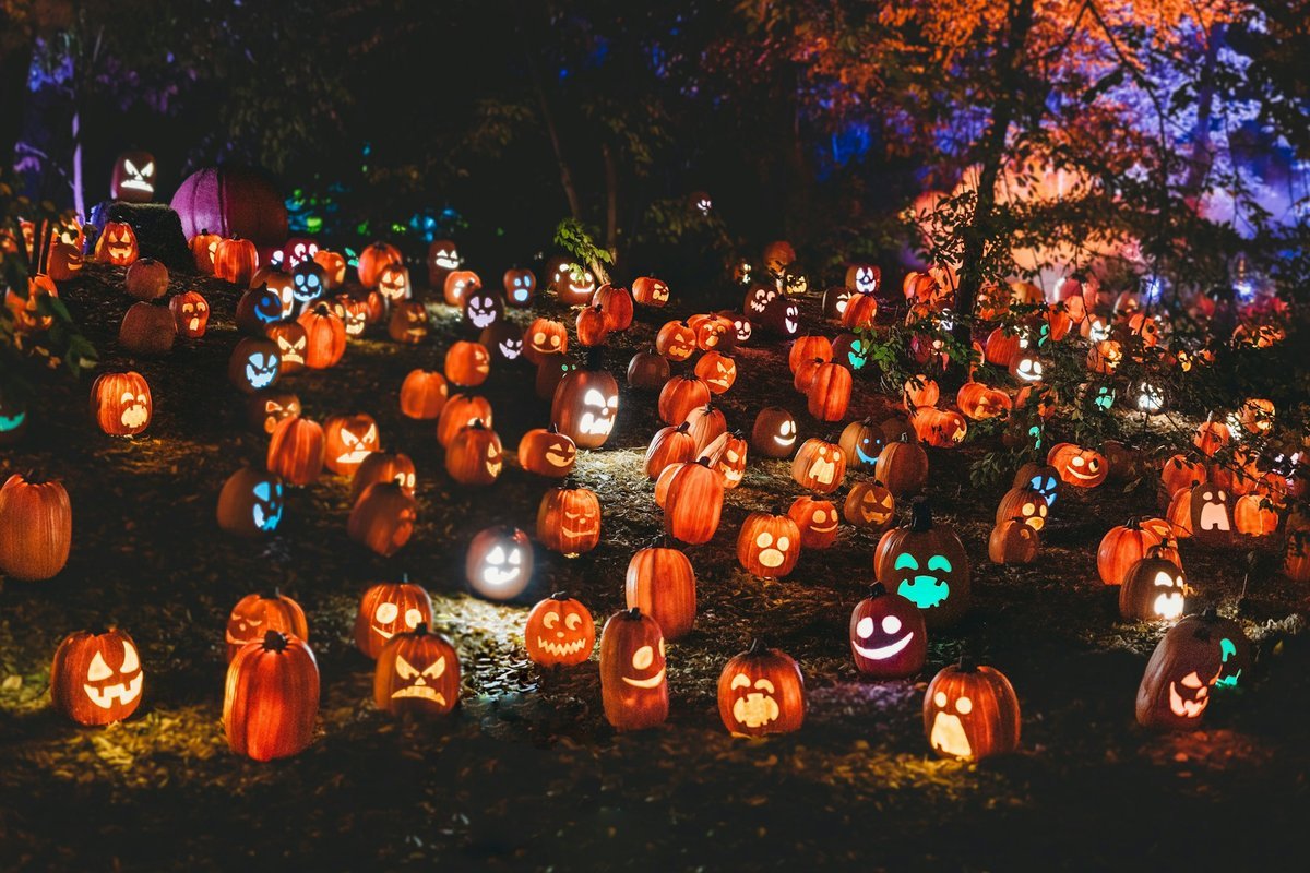 Spooktacular Ways to Give Back: Celebrating Halloween 2026 in Saskatoon