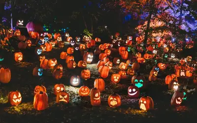 Feature image for Spooktacular Ways to Give Back: Celebrating Halloween 2026 in Saskatoon
