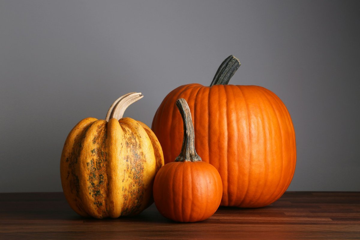 Setting a Wider Table: Meaningful Ways to Give Back This Thanksgiving Across Saskatoon