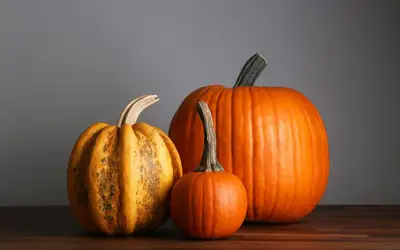 Setting a Wider Table: Meaningful Ways to Give Back This Thanksgiving Across Saskatoon