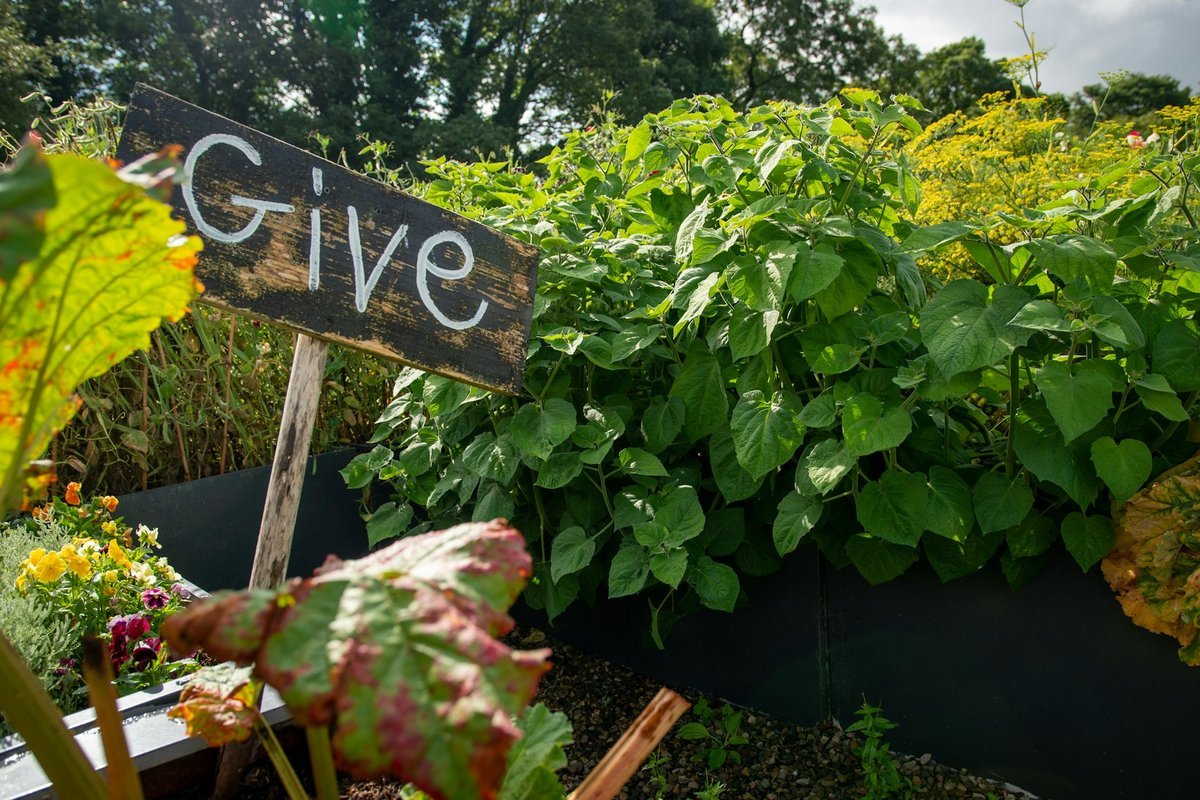 Innovate Today, Nourish Tomorrow: Reimagining Food Security Across Saskatoon