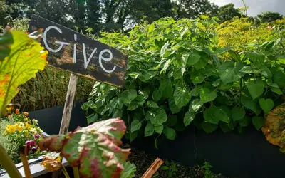 Innovate Today, Nourish Tomorrow: Reimagining Food Security Across Saskatoon