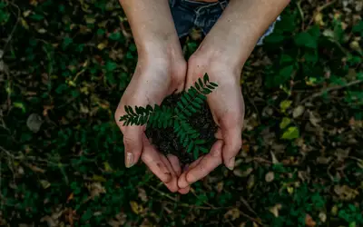 Image à la une pour Small Steps, Big Impact: Embracing a Sustainable Summer