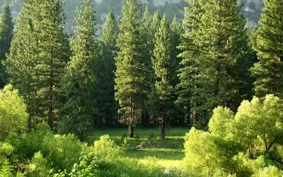 Image à la une pour Celebrating Canadian Environment Week 2026: Let's Protect Our Home