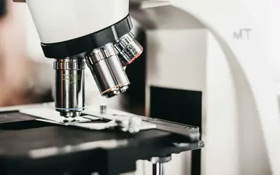 Micro-Volunteering in Saskatoon: How to Make a Big Difference in Just Minutes