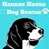 Hanna's Haven